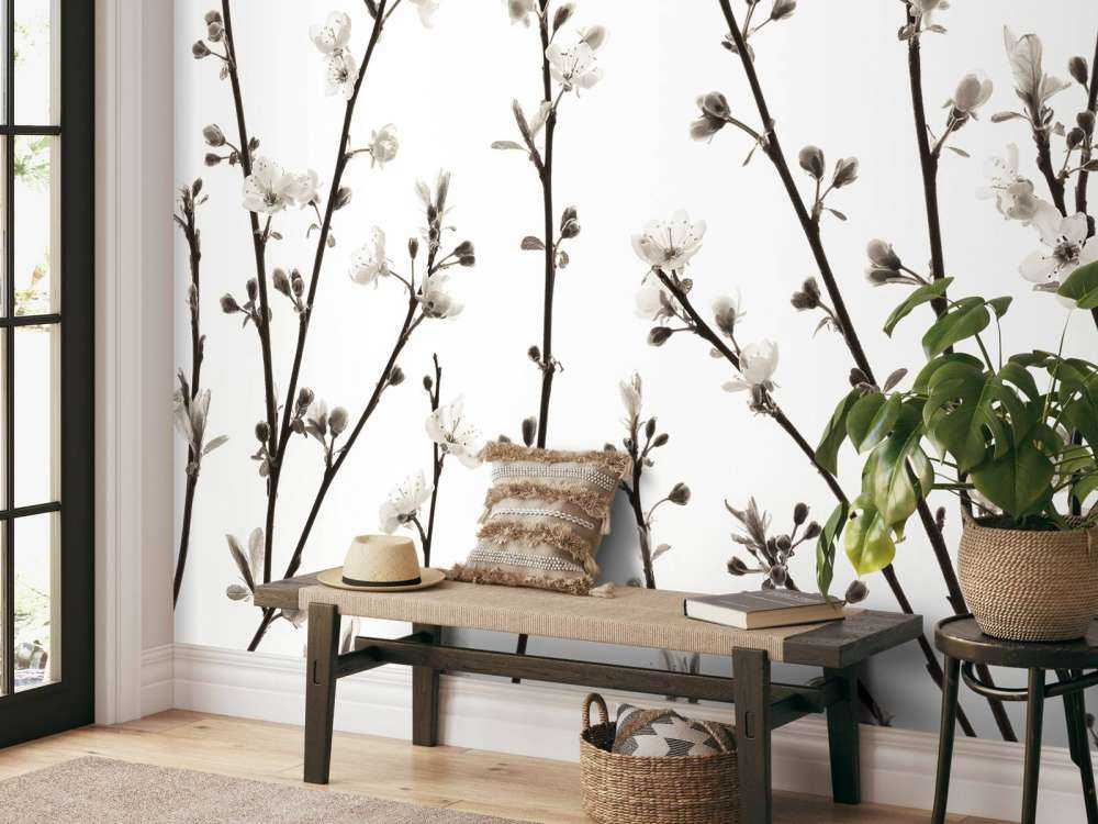 Gałęzie kwiatów wiśni