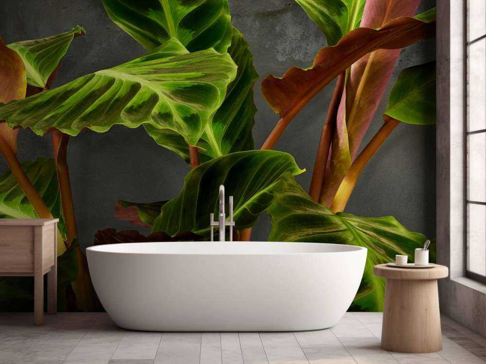 Roślina z pięknymi zielonymi liśćmi