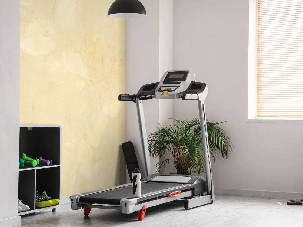 Wegebree i dziki geranium - światło wsteczne