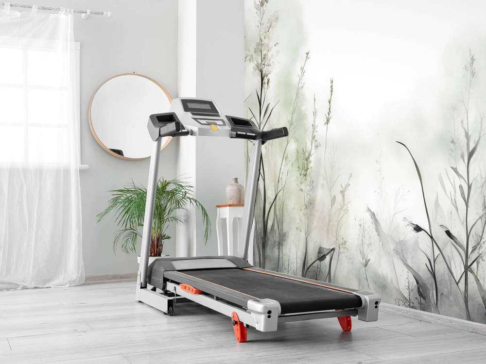 Poranna Cisza Mglista Biała