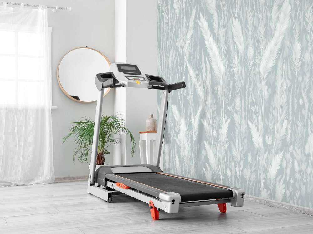 Ściana traw polnych - miętowa zieleń