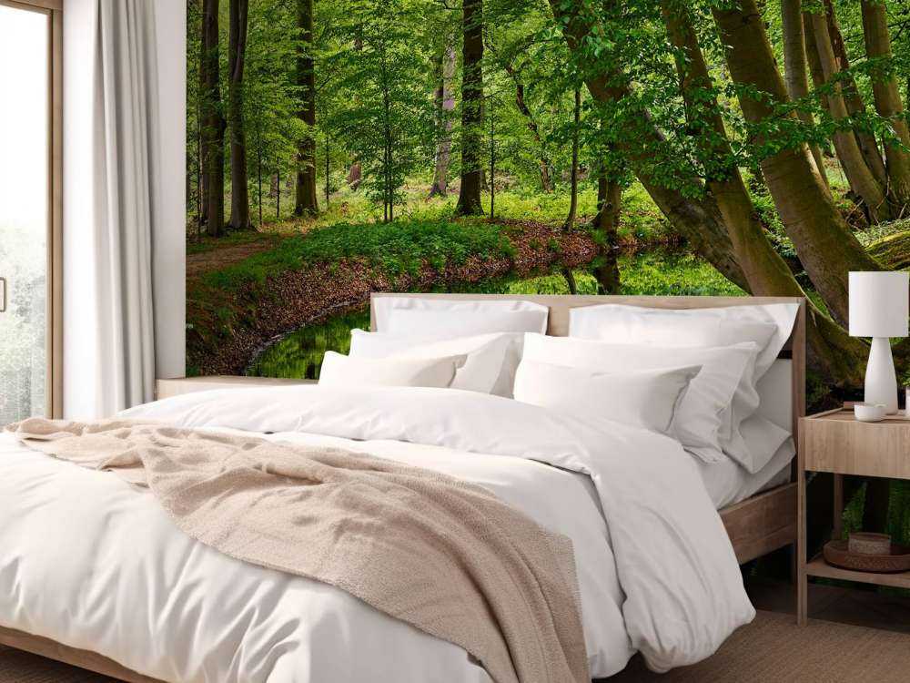 Wygięte drzewa w pobliżu wody