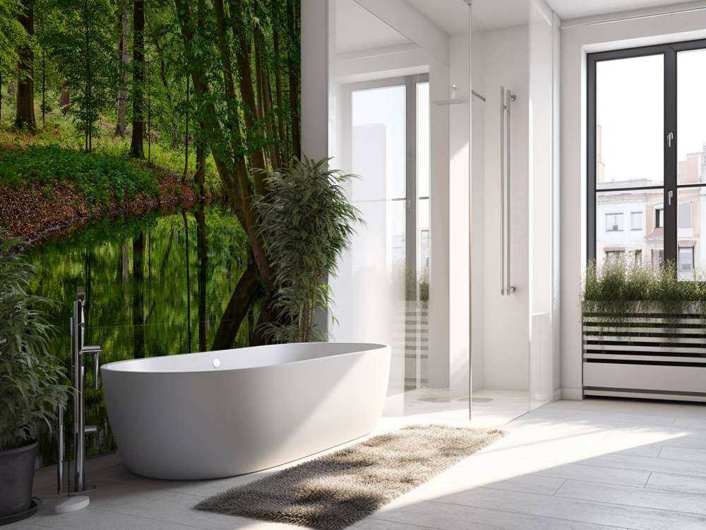 Wygięte drzewa w pobliżu wody