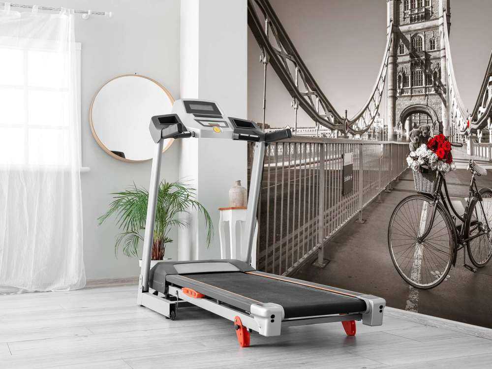 Szczeniaki w koszyku rowerowym