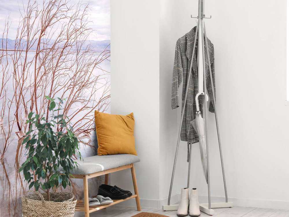 Gałęzie w Morzu Martwym