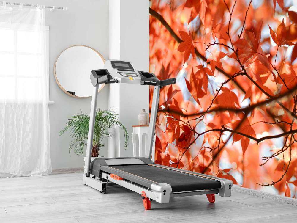 Kolorowe jesienne liście