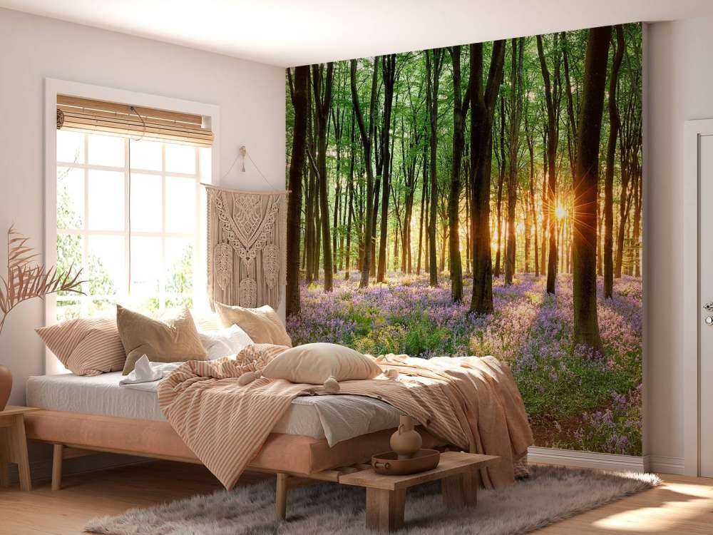 Leśna ścieżka o wschodzie słońca