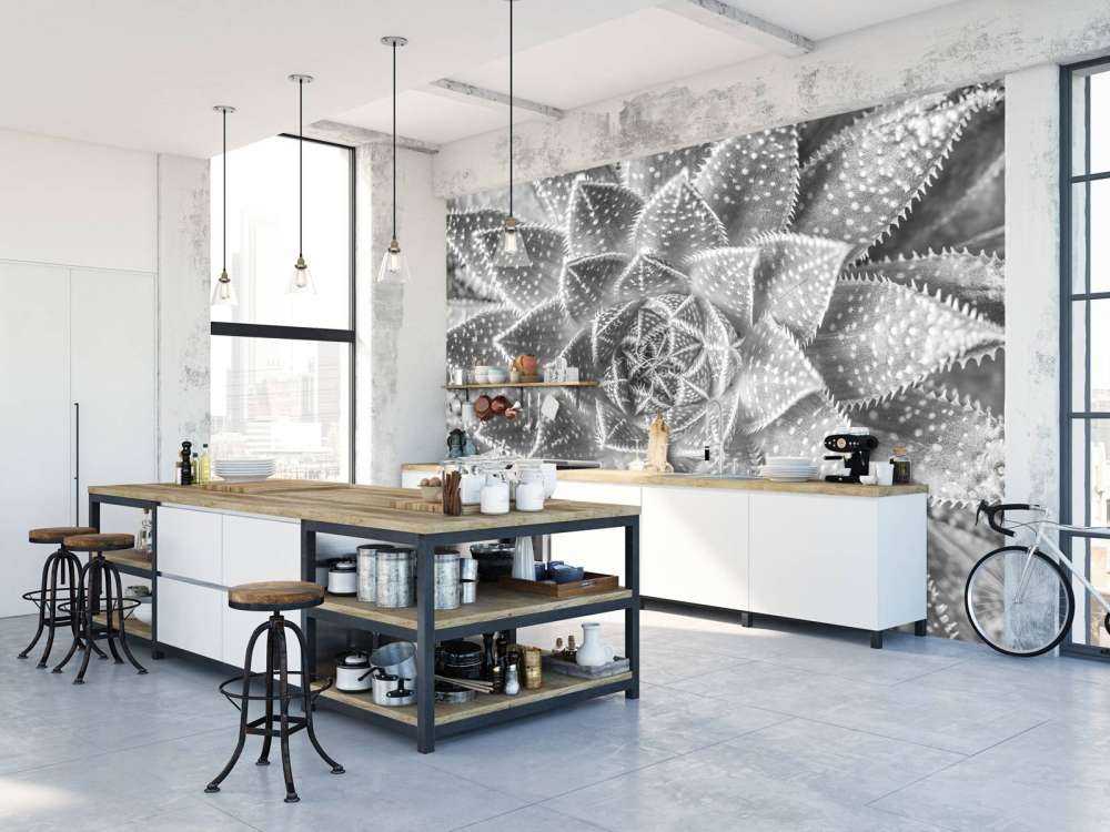 Sukulent w czerni i bieli