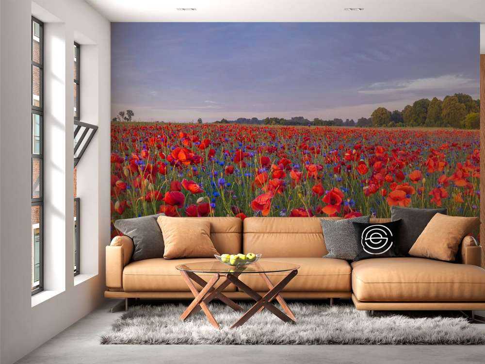 Niebieskie kwiaty i czerwone maki