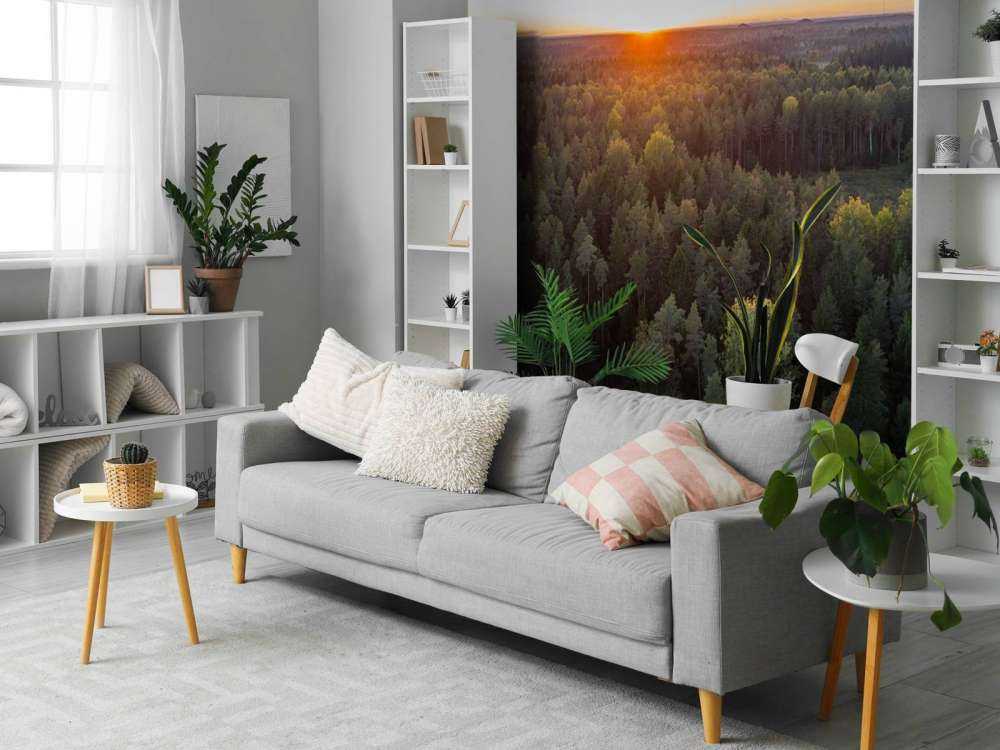 Zdjęcie lotnicze jesiennych drzew