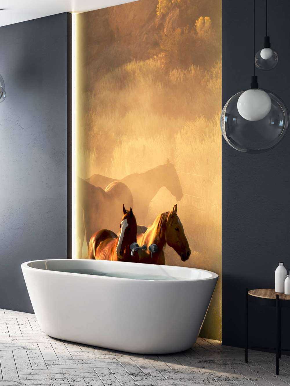 Konie podczas zachodu słońca