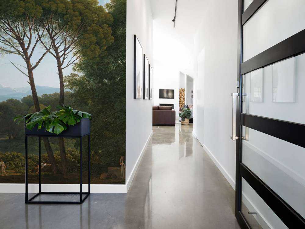 Włoski krajobraz z drzewami sosnowymi