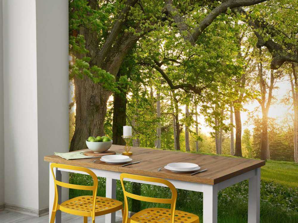 Otwarta przestrzeń w lesie