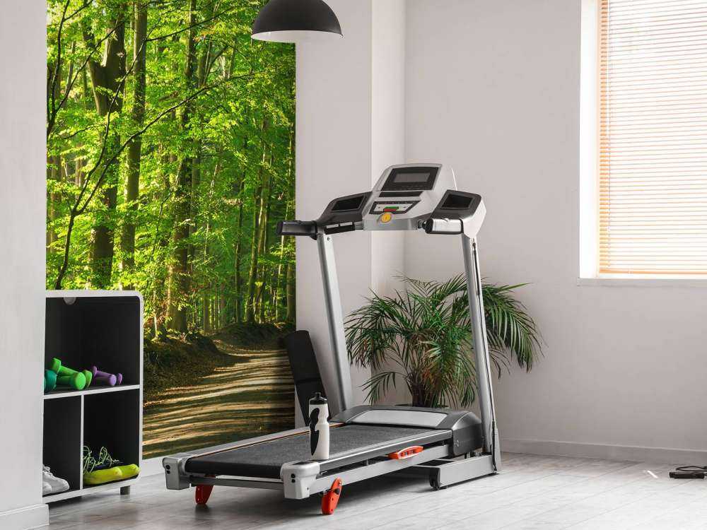 Słoneczna droga przez las