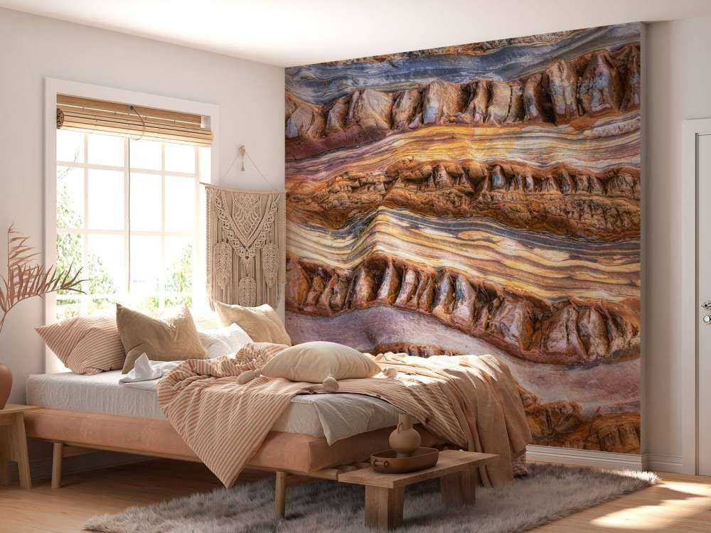 Abstractions in nature