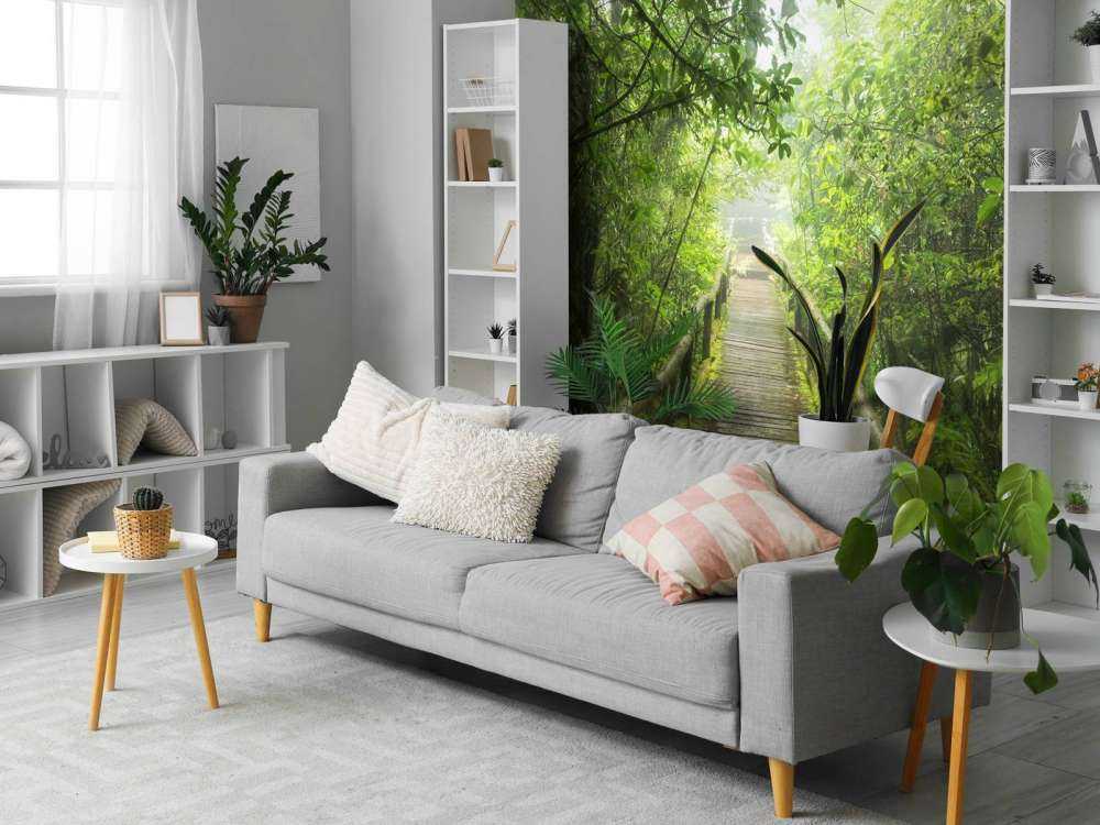 Zielona, mglista dżungla