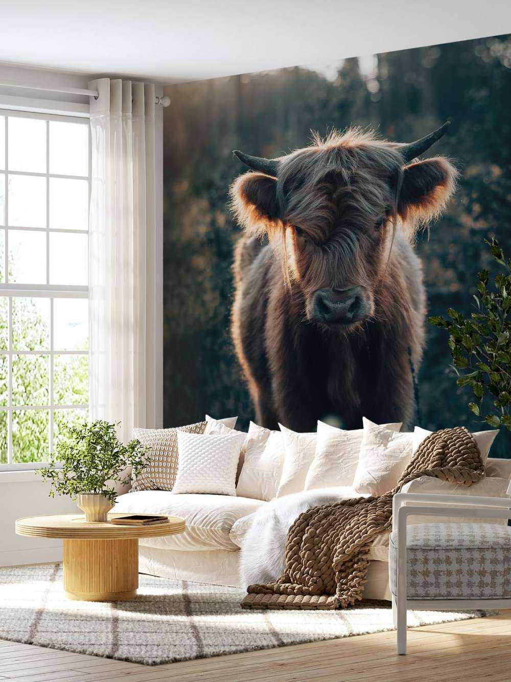 Młody szkocki wyżyn 