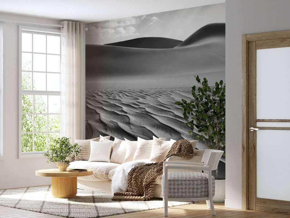 The Living Dunes, Namibia I