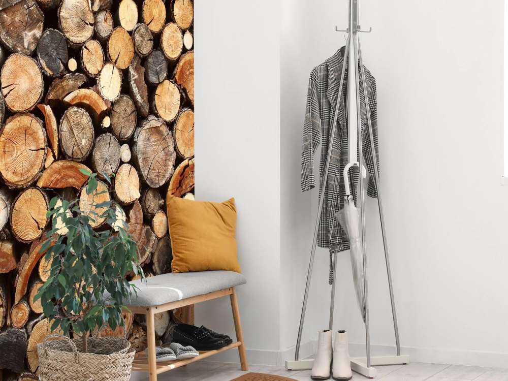 Pnie drzew ułożone w stosy