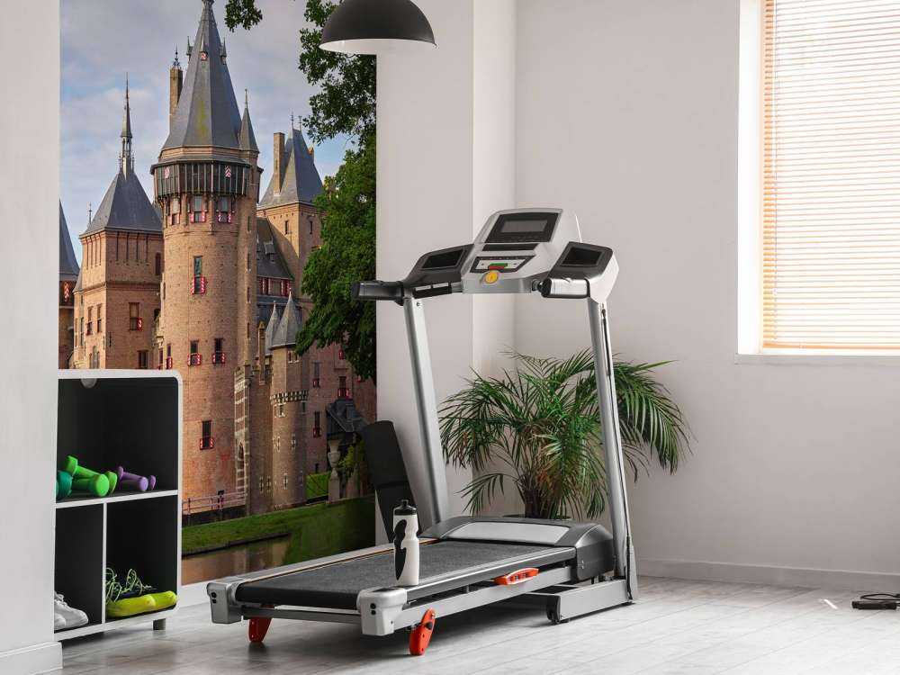 Zamek de Haar od strony ogrodu