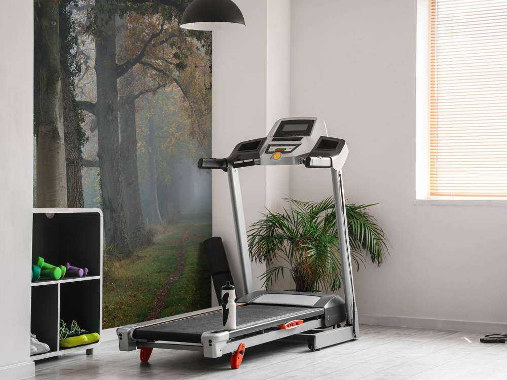 Aleja z drzewami we mgle