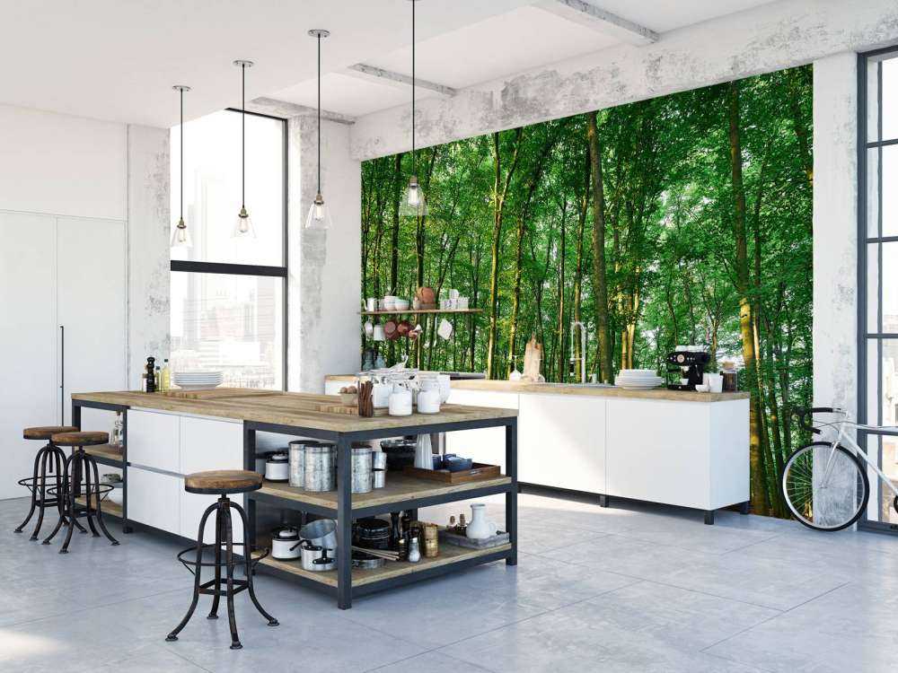 Zielony las ze światłem słonecznym