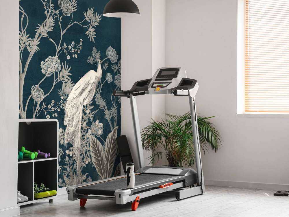 Splendor Pawia w Nocnym Ogrodzie