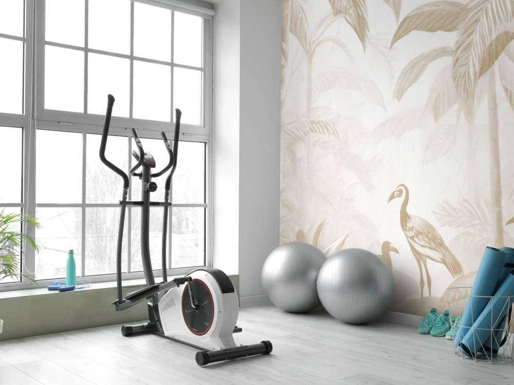 Ukryta Dżungla z Ibisem, taupe