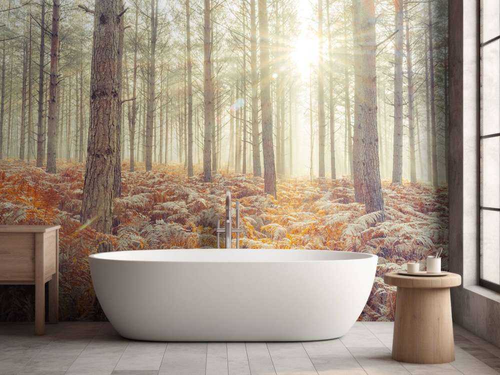 Promienie słońca przez zimne drzewa