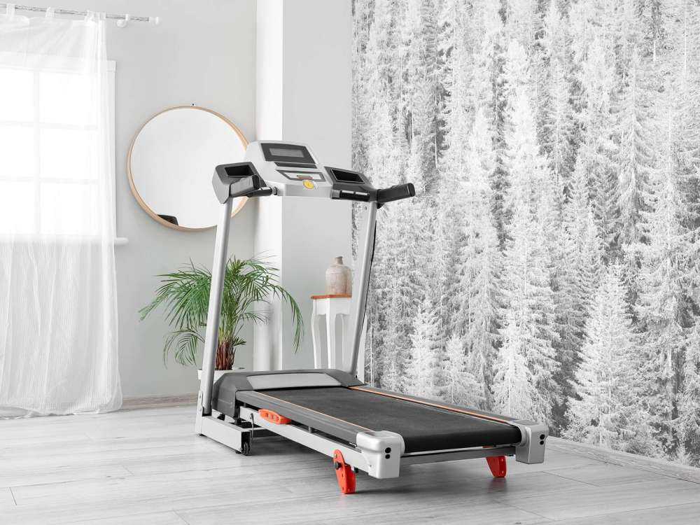 Drzewa iglaste w czerni i bieli