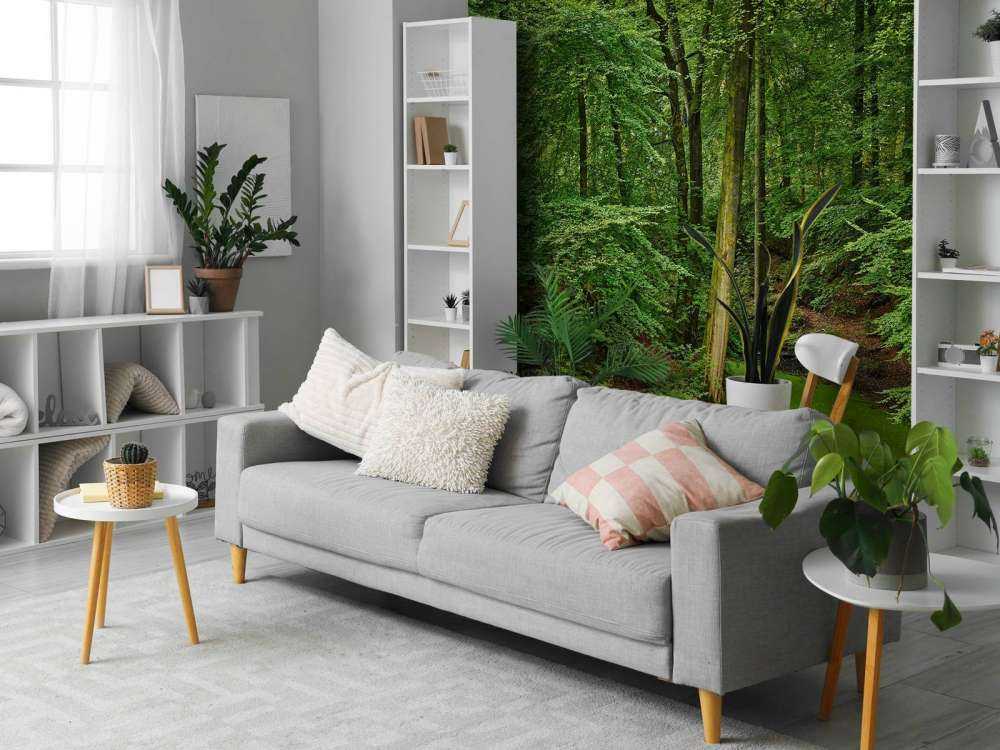 Strumień z kaczenicami w lesie