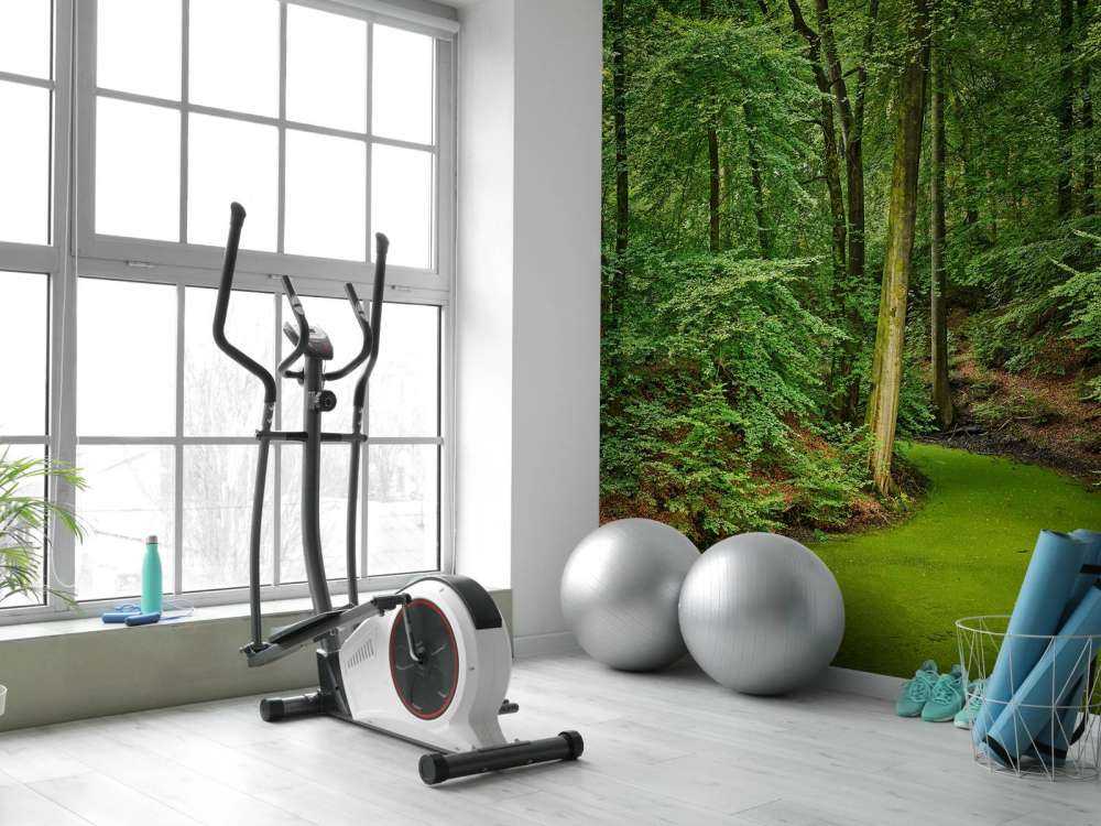 Strumień z kaczenicami w lesie