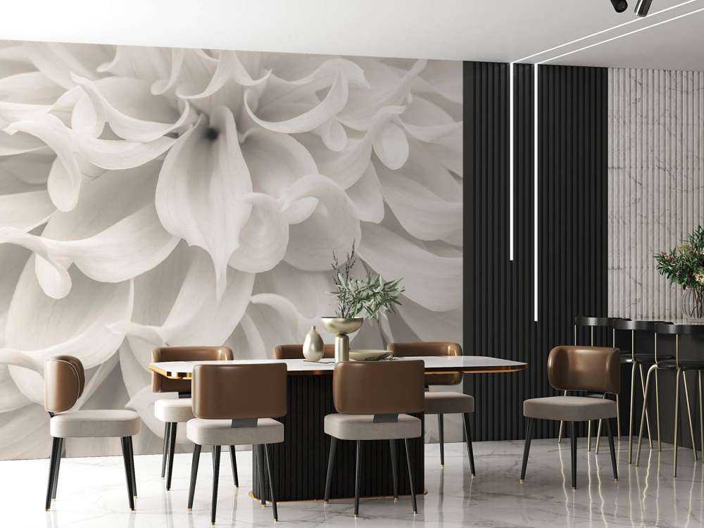 Zbliżenie na kwiat dalii