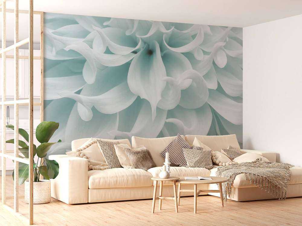 Dalia o jasnej barwie