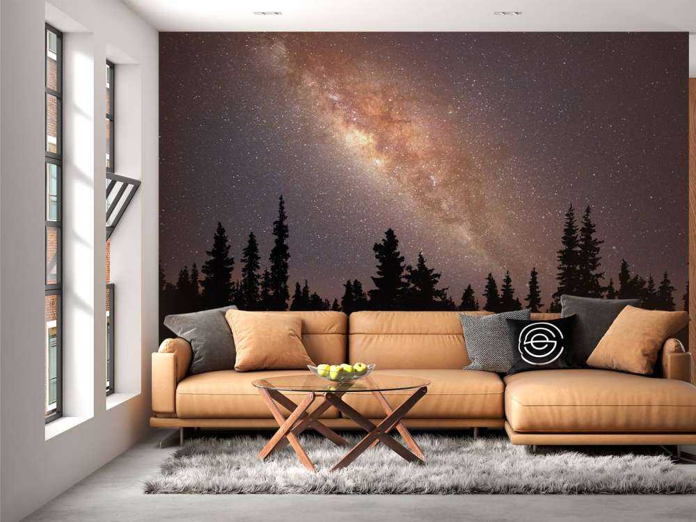 Droga Mleczna nad sylwetką drzew