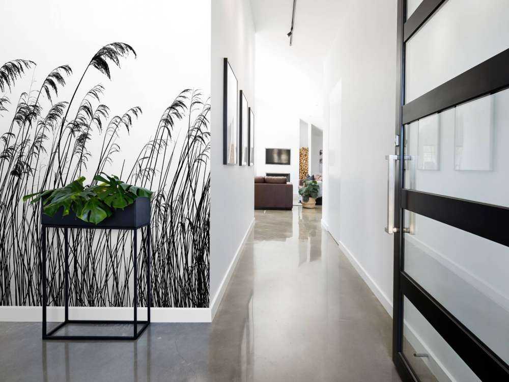 Trzcina wzdłuż nabrzeża w czerni i bieli