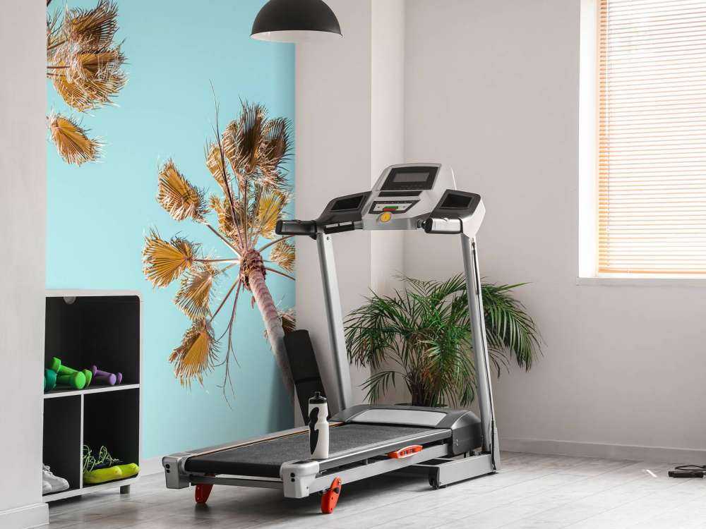 Palmy z niebieskim niebem