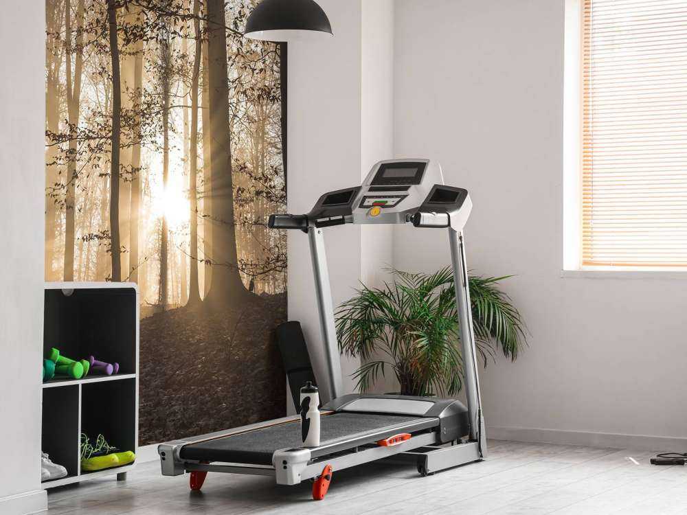 Słońce w mglistym lesie