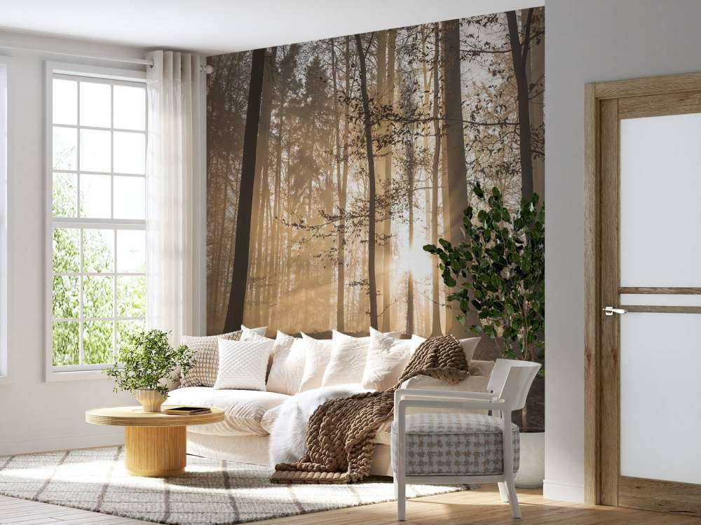 Słońce w mglistym lesie