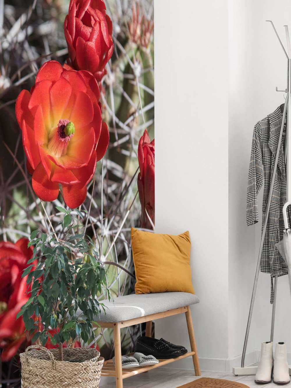 Czerwone kwiaty kaktusa