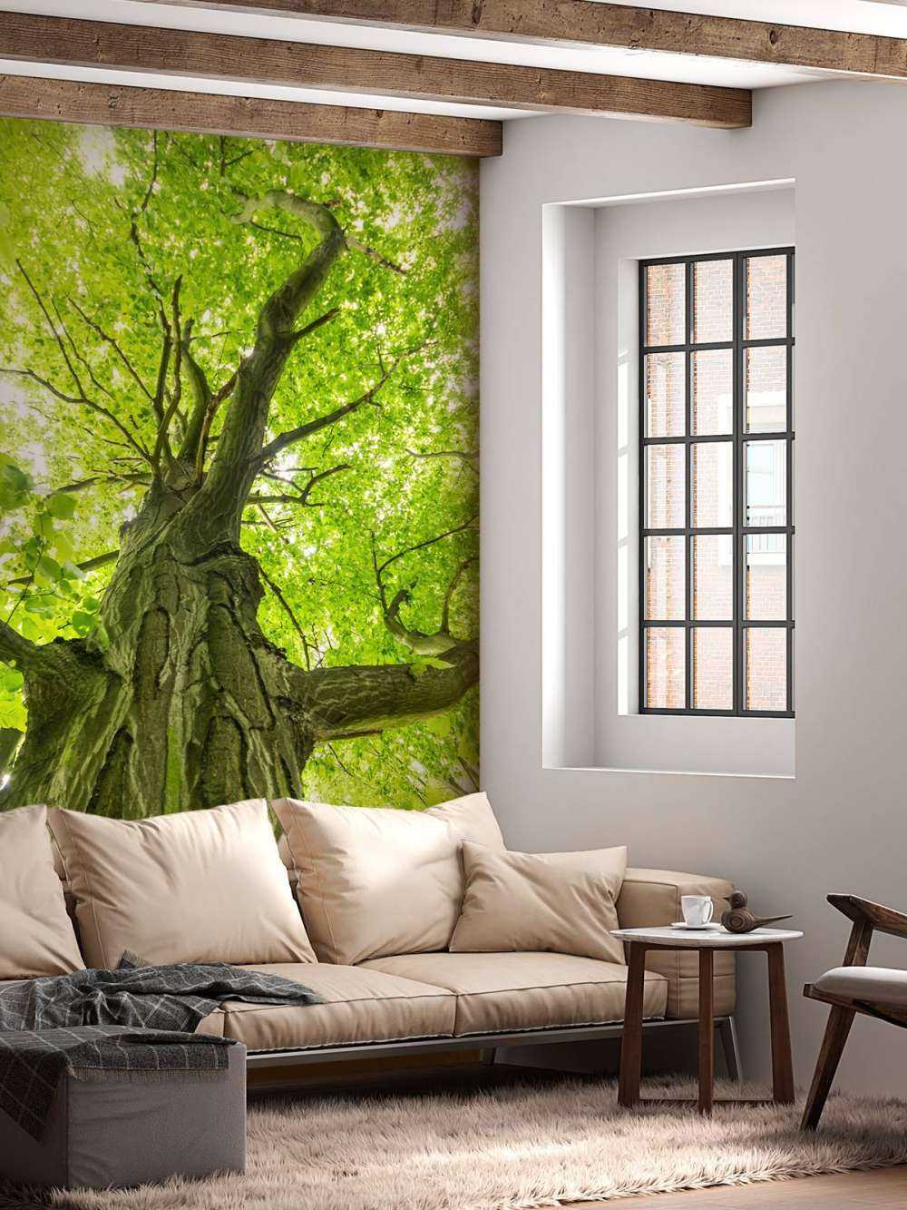 Duże drzewo w lesie