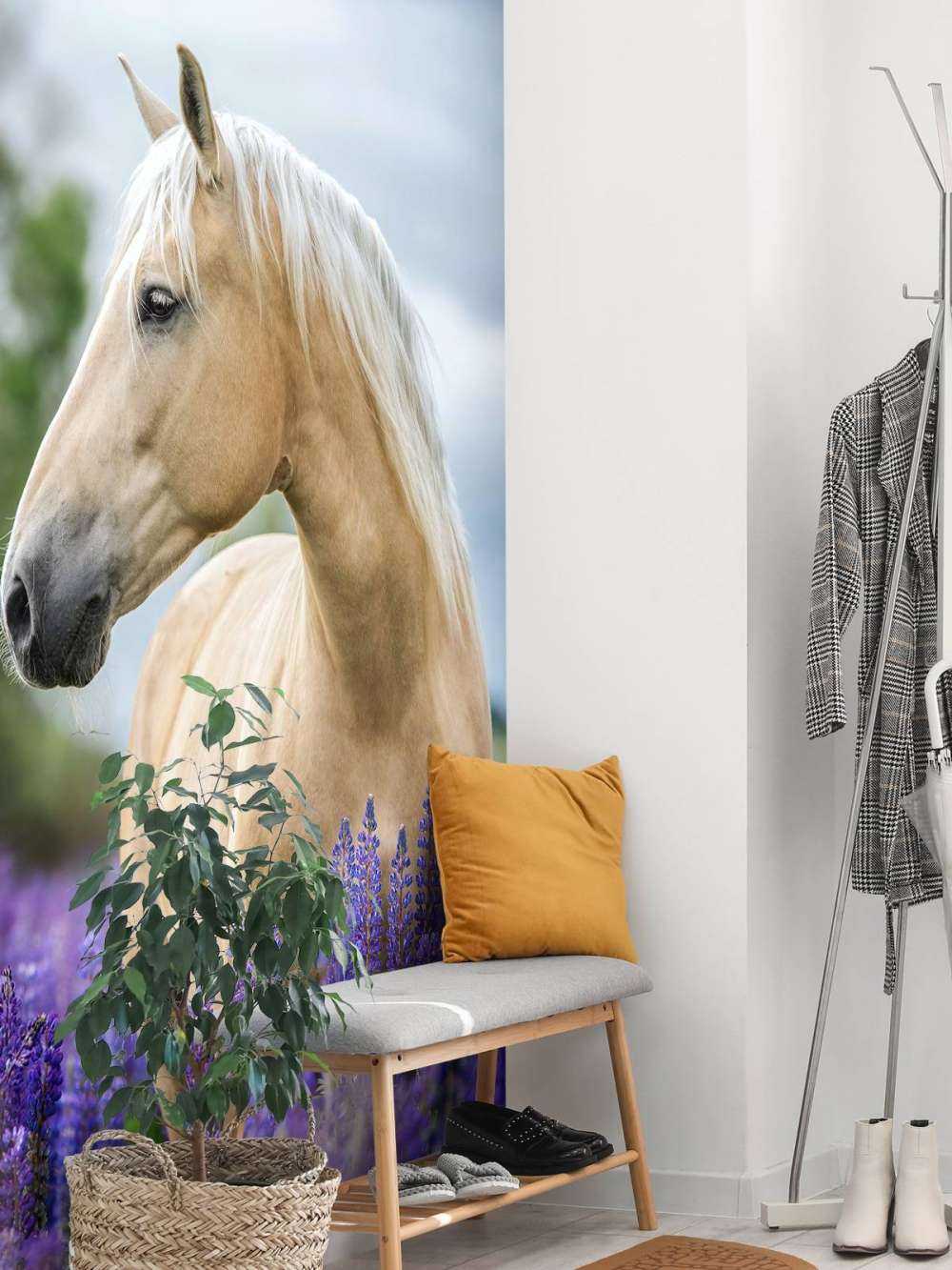 Koń między lawendą