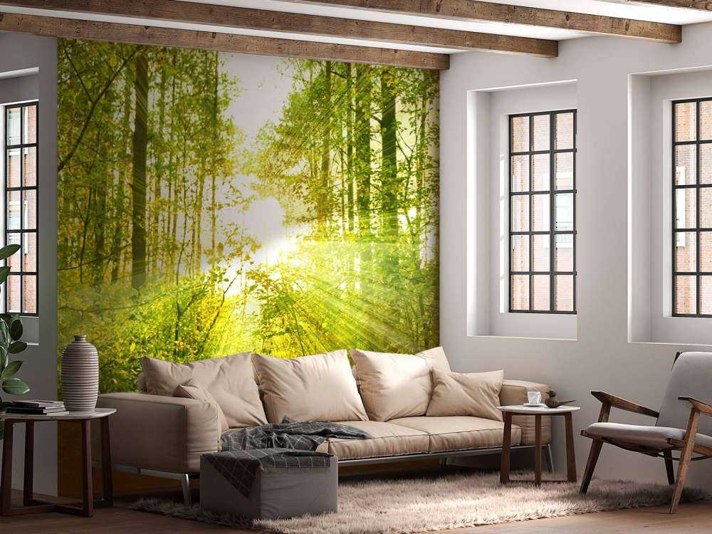 Słońce w zielonym lesie