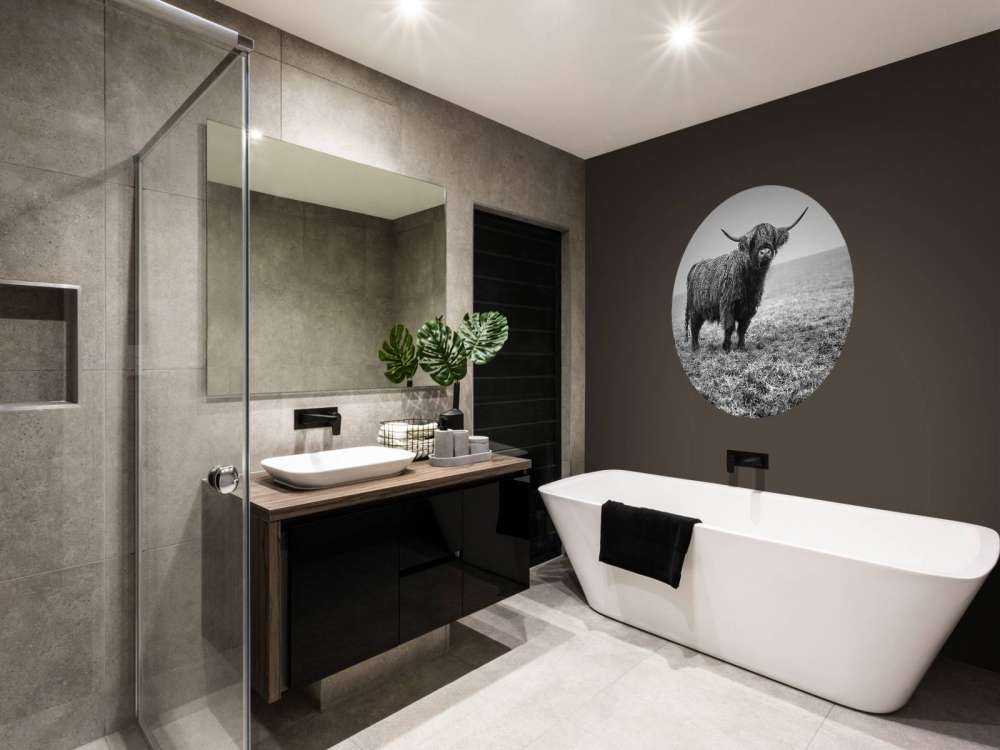 Szkocka rasa wyżynna w trawie