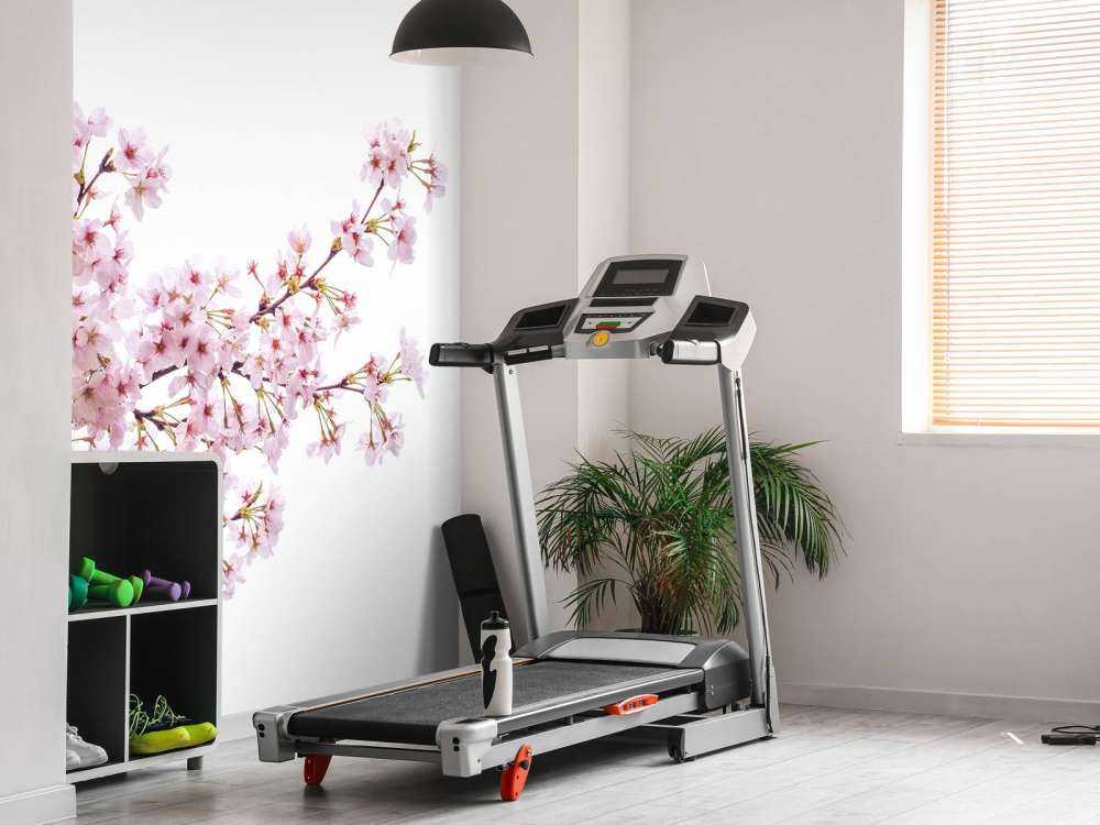 Gałęzie z różowymi kwiatami