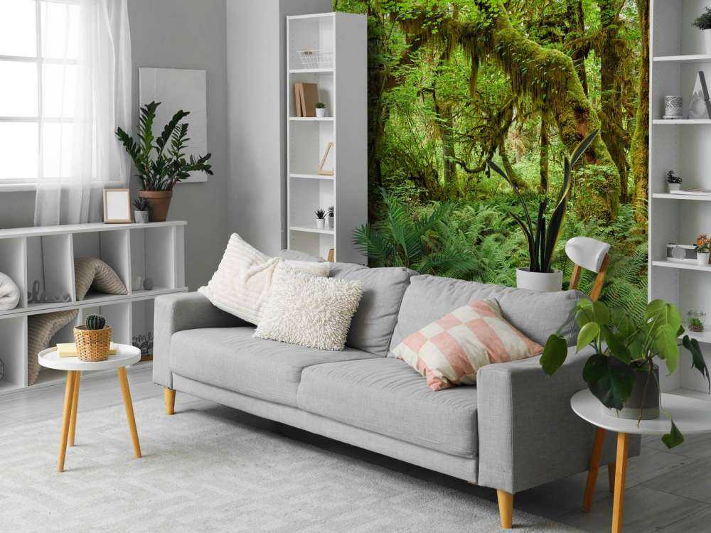 Paprocie w starym lesie