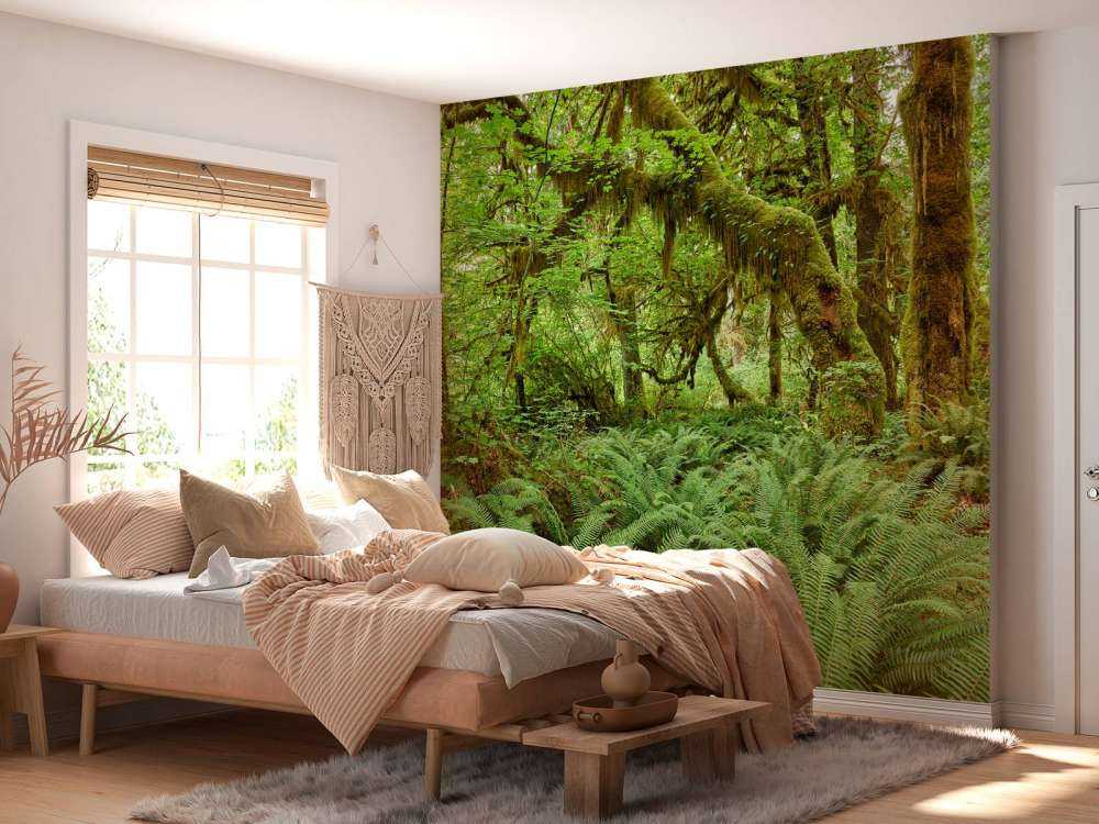 Paprocie w starym lesie