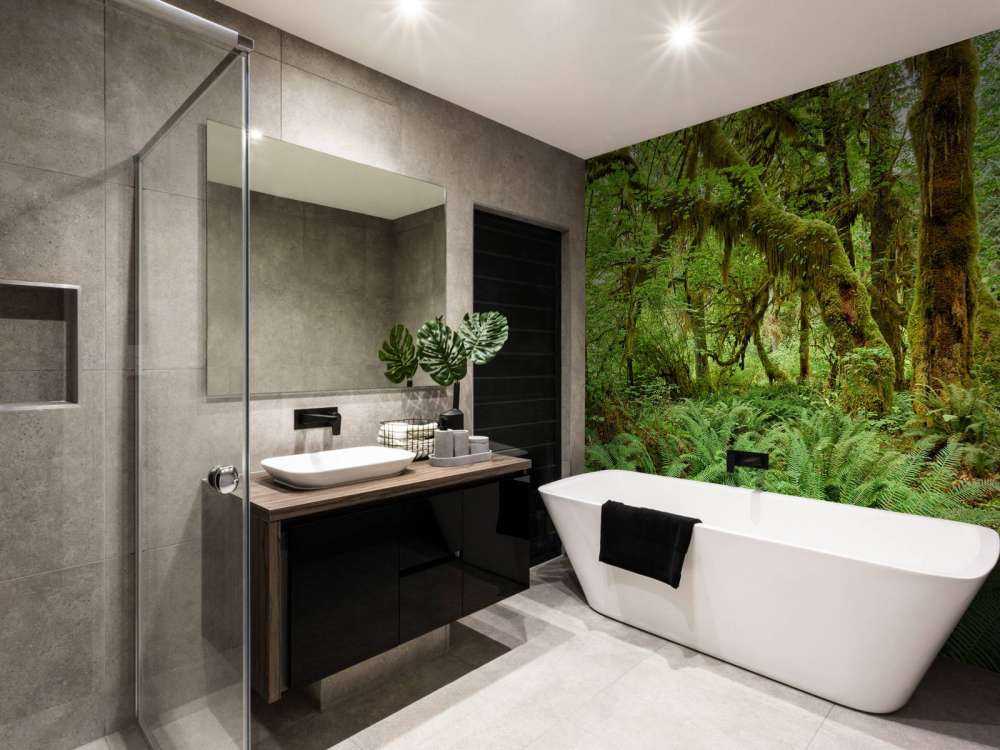 Paprocie w starym lesie