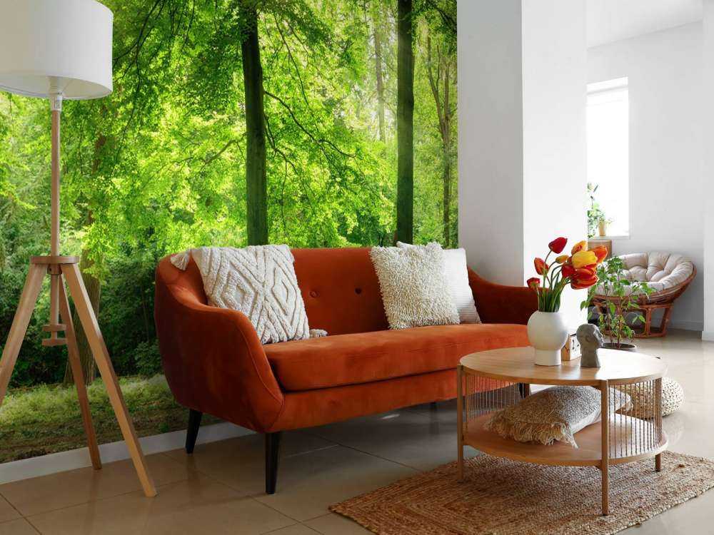 Las z lekką mgiełką