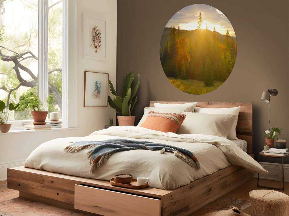 Panorama lasu sosnowego